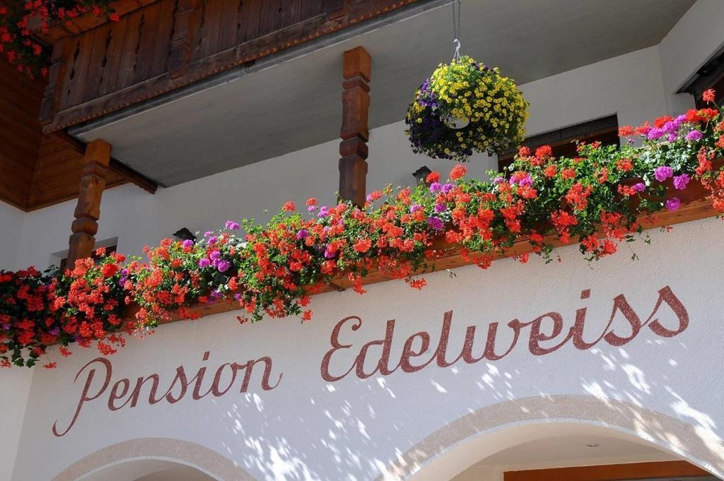 Edelweiss 2*